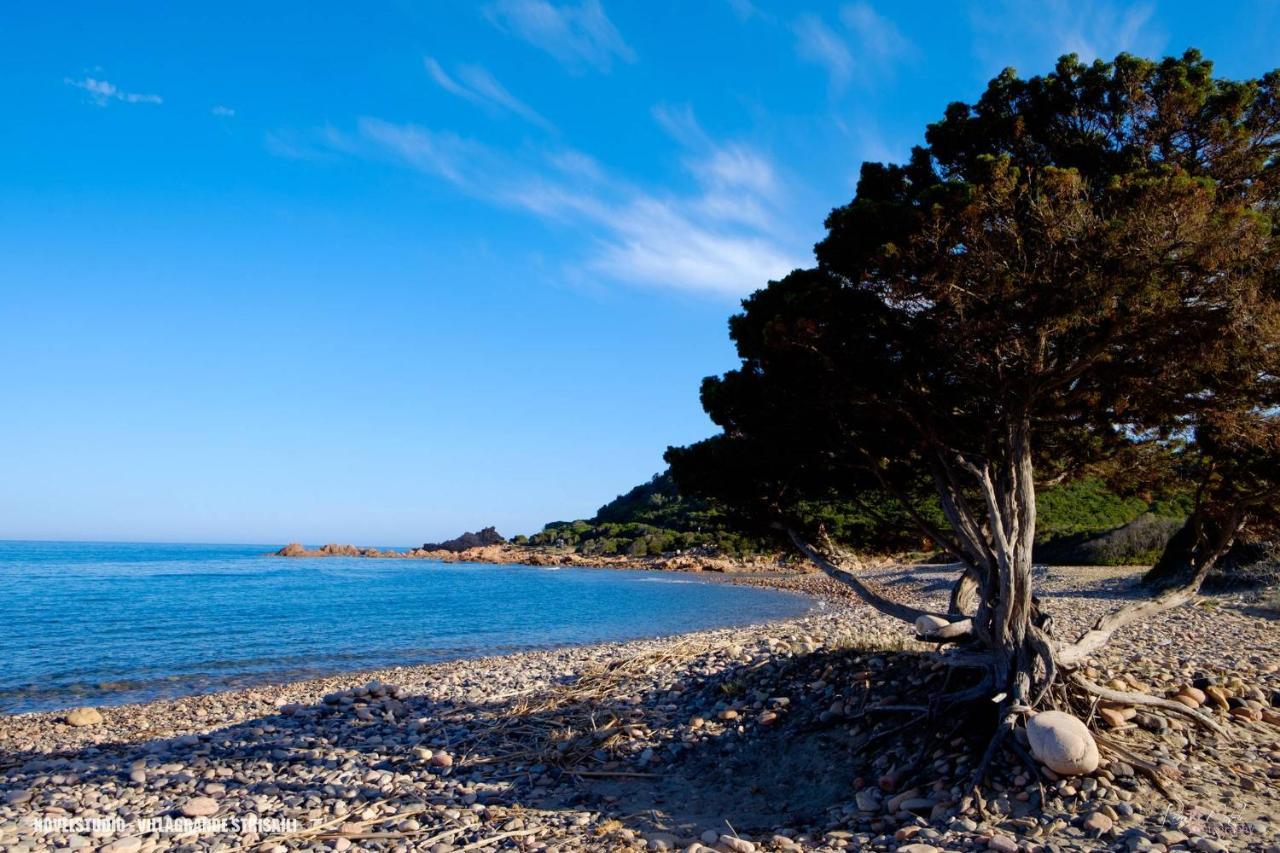 B&B Cardedu Εξωτερικό φωτογραφία